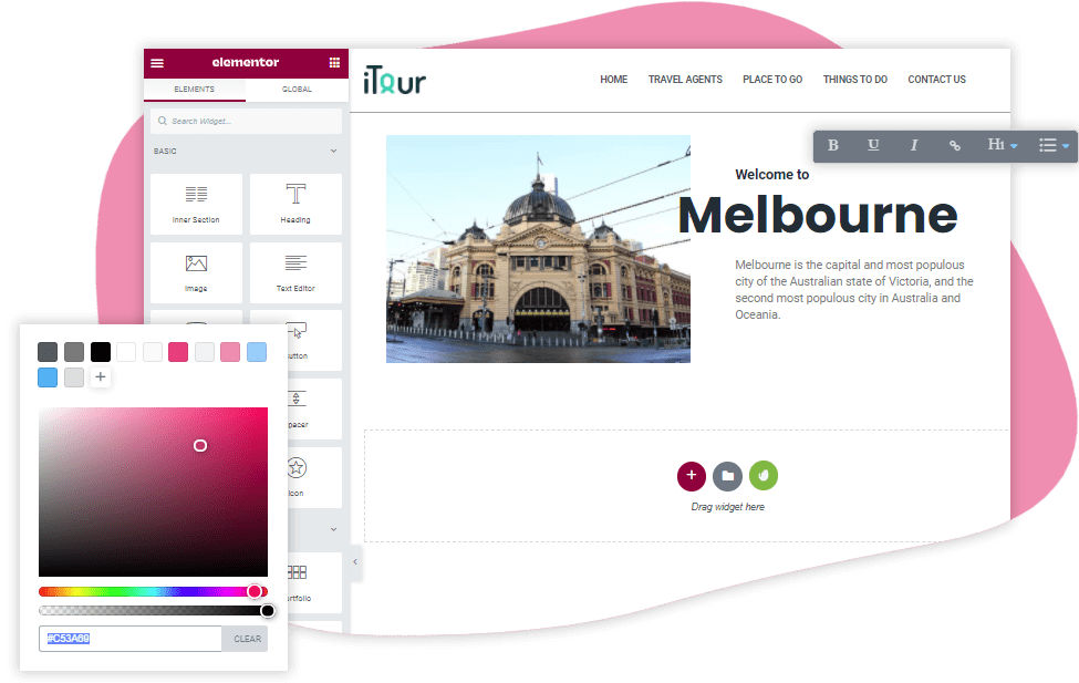Wordpress-and-Elementor image
