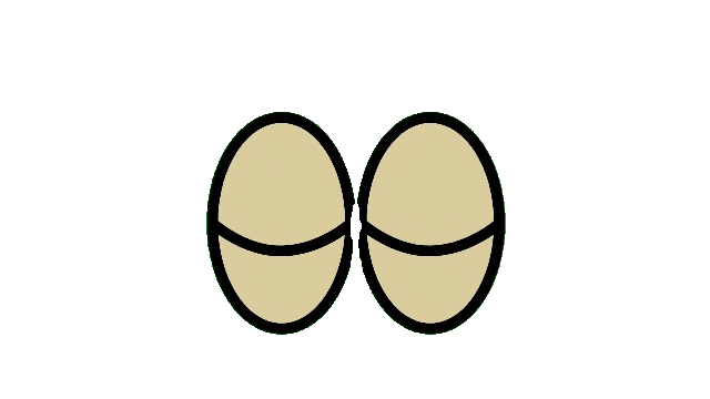 terminal page image (eyes)